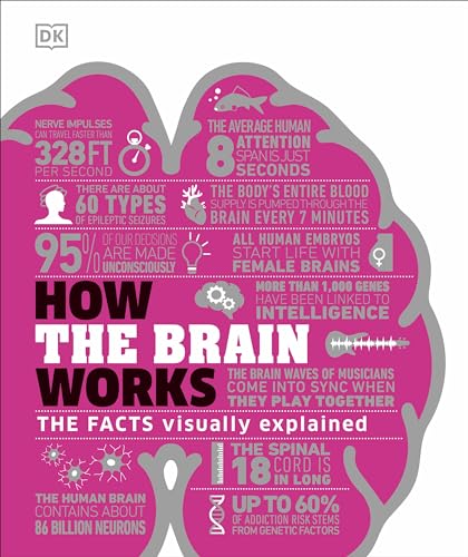 How the Brain Works: The Facts Visually Explained (DK How Stuff Works) von DK